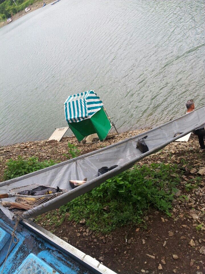 ���� 006.jpg