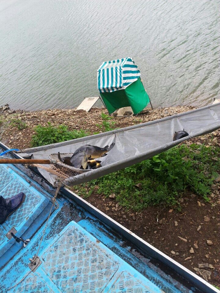 ���� 007.jpg