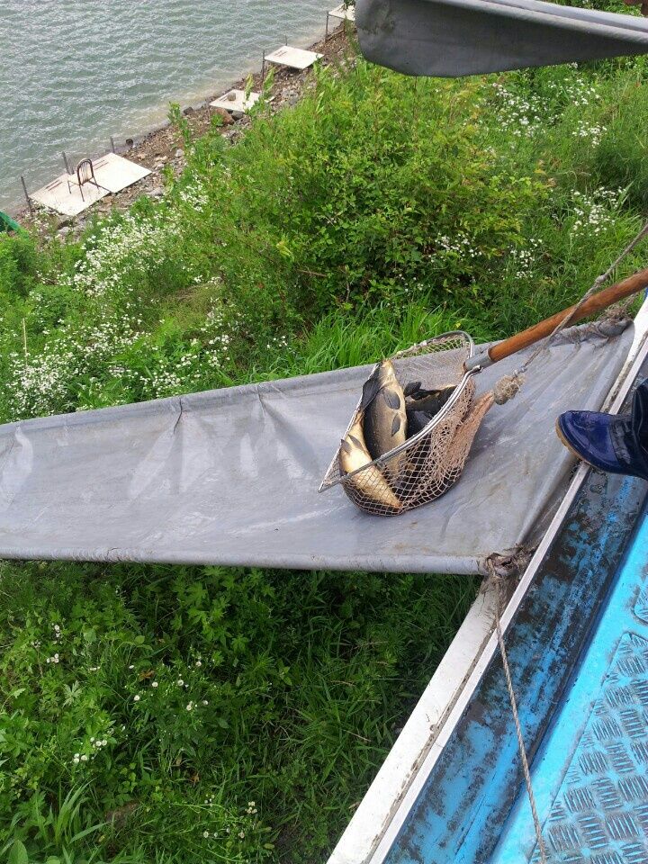 ���� 008.jpg