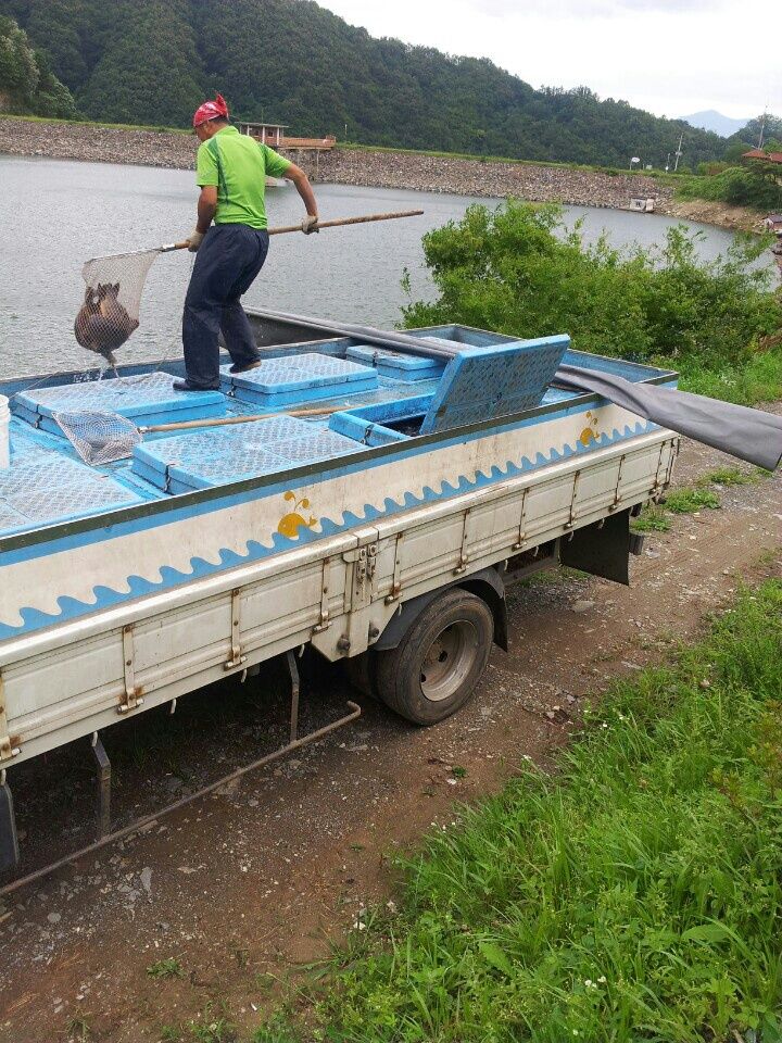 ���� 009.jpg