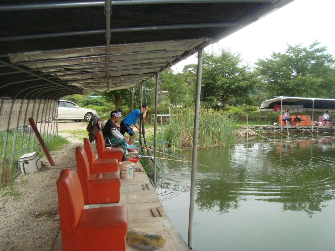 2014-7-6 008.JPG