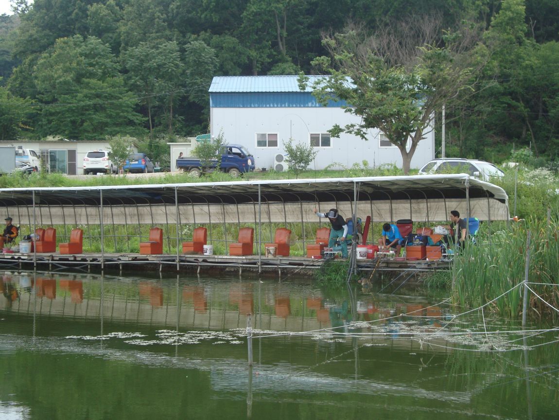 2014-7-6 014.JPG