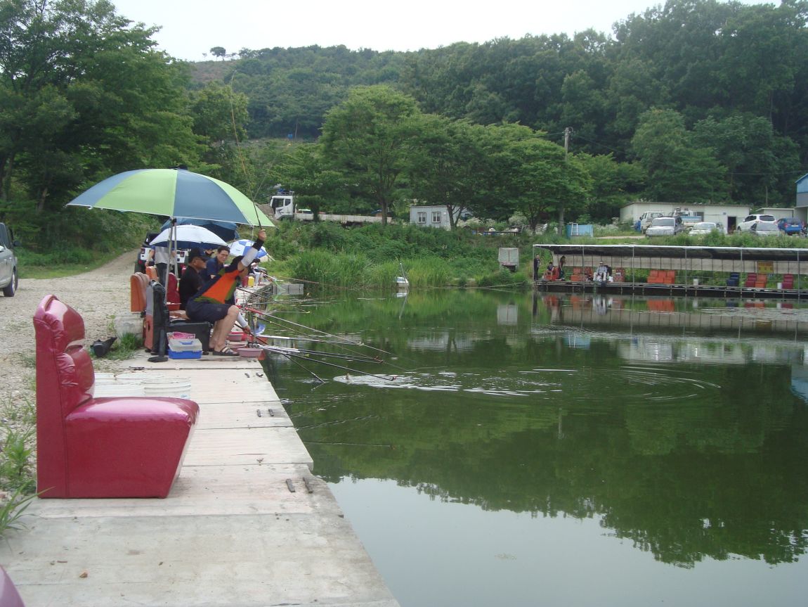 2014-7-6 015.JPG