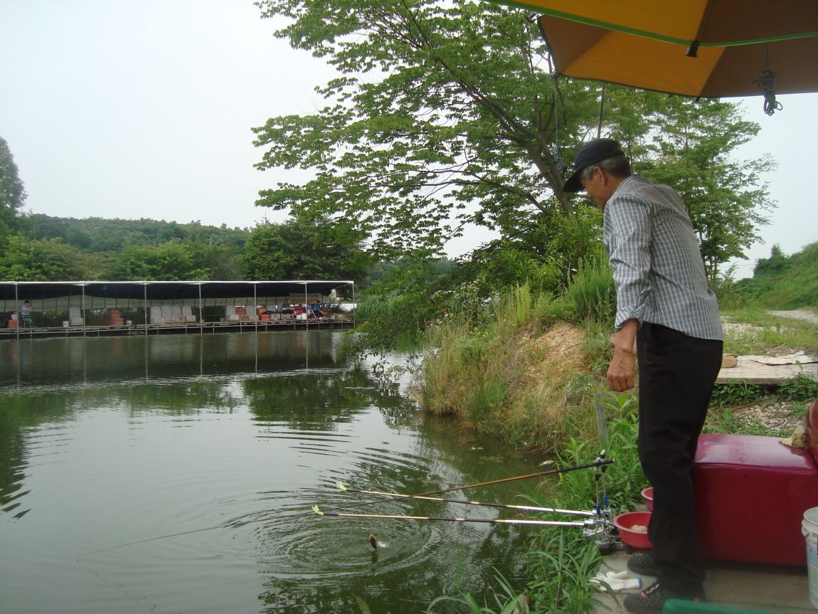2014-7-6 016.JPG