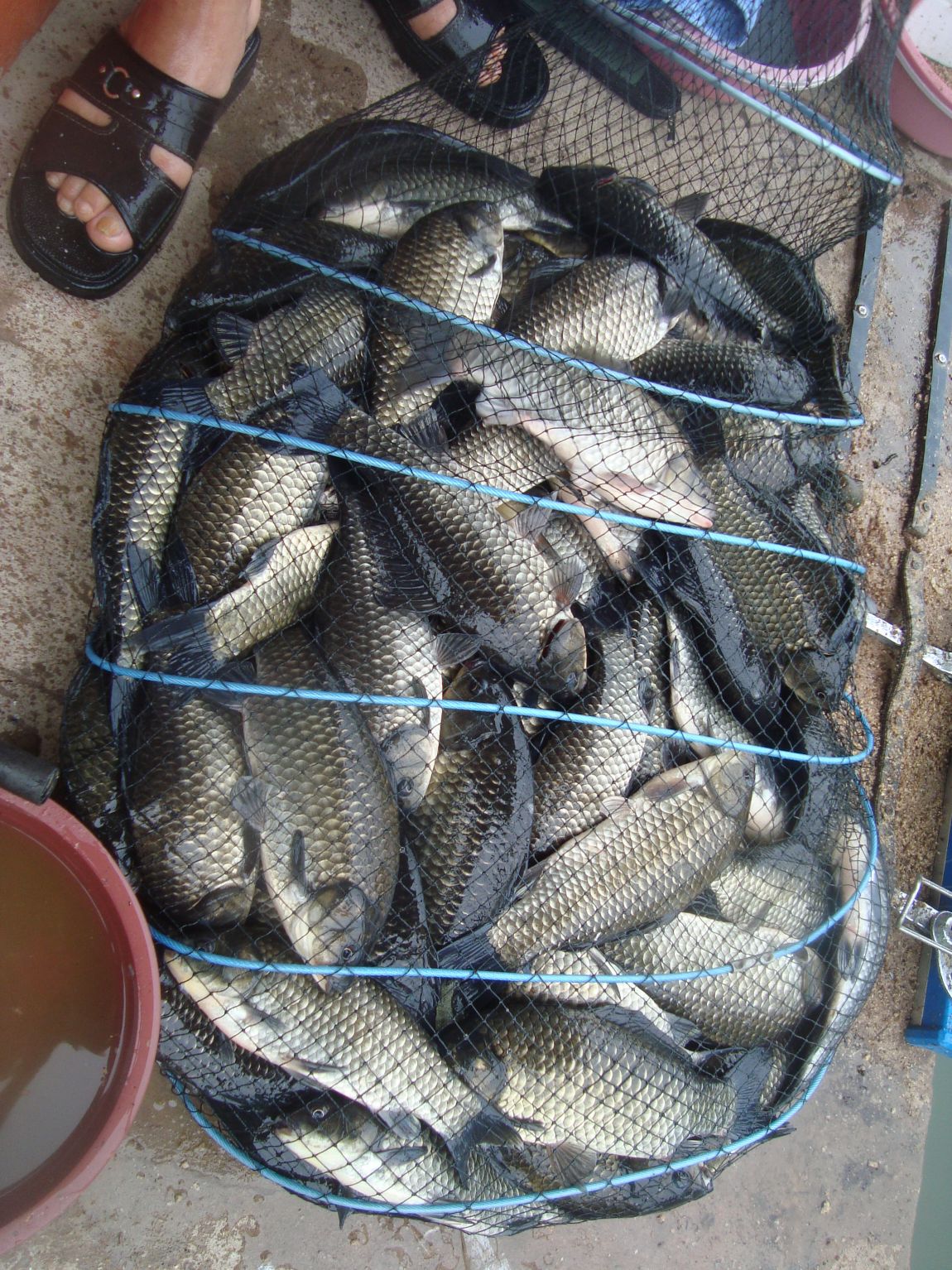 2014-7-6 023.JPG