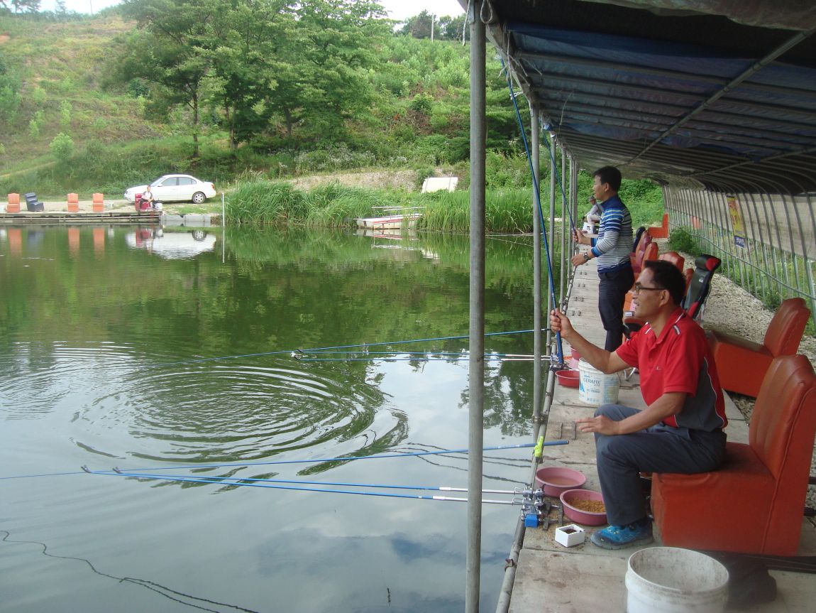2014-7-6 042.JPG