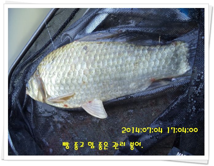 �ٹ̱�_DSC02078.JPG