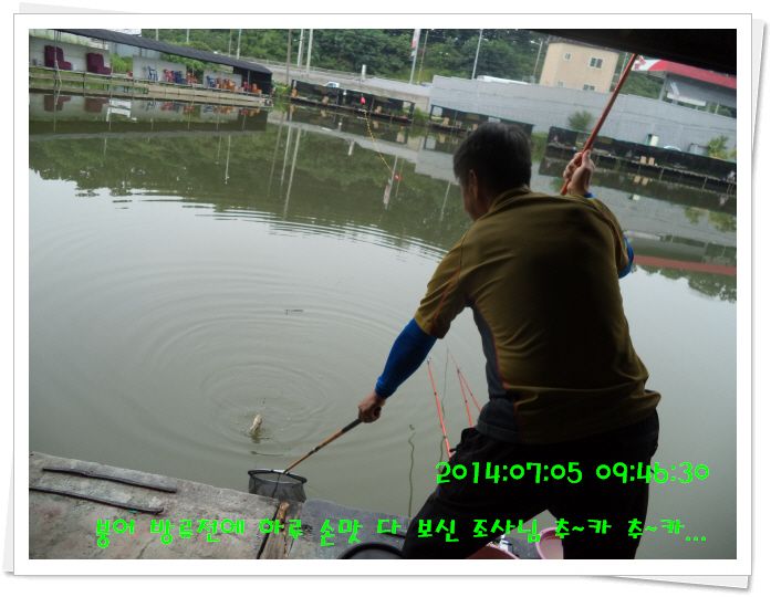 �ٹ̱�_DSC02081.JPG