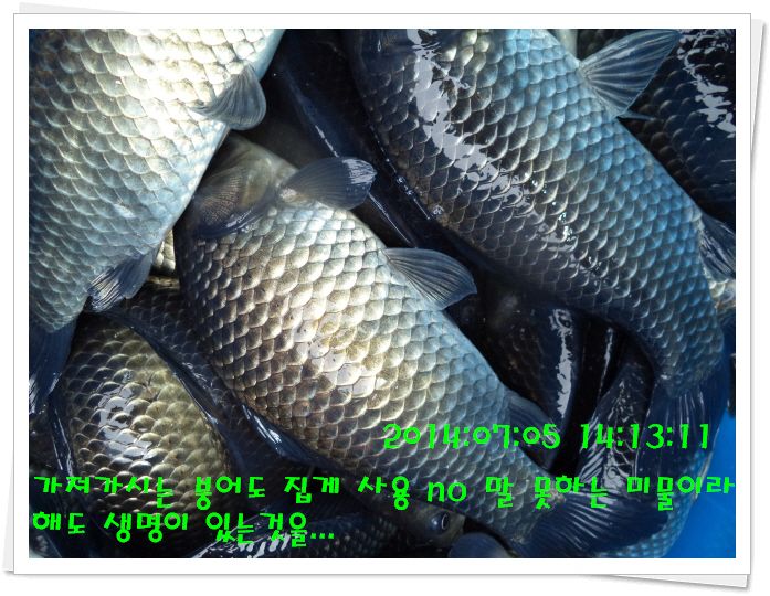 �ٹ̱�_DSC02088.JPG