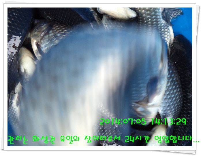 �ٹ̱�_DSC02089.JPG