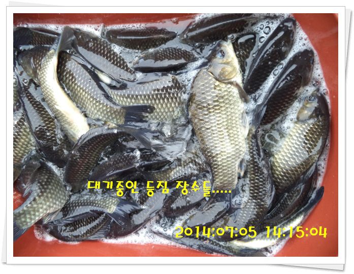 �ٹ̱�_DSC02092.JPG