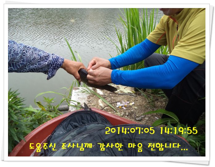 �ٹ̱�_DSC02093.JPG