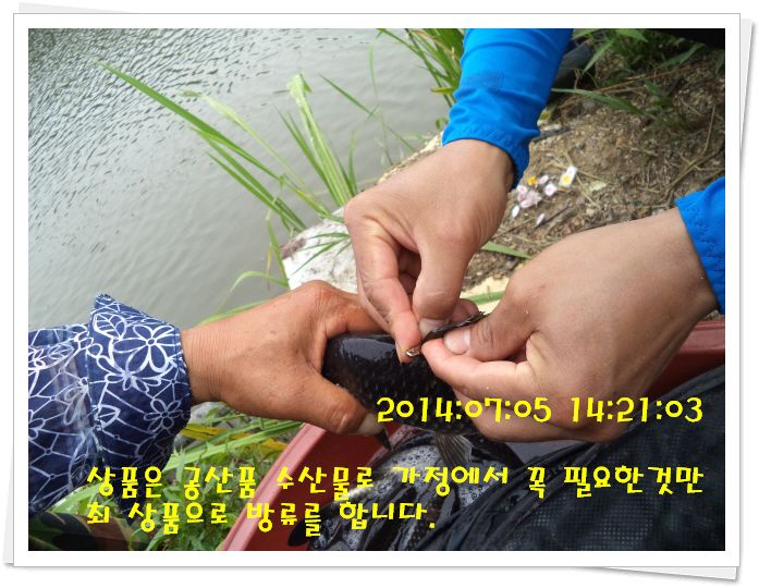 �ٹ̱�_DSC02100.JPG