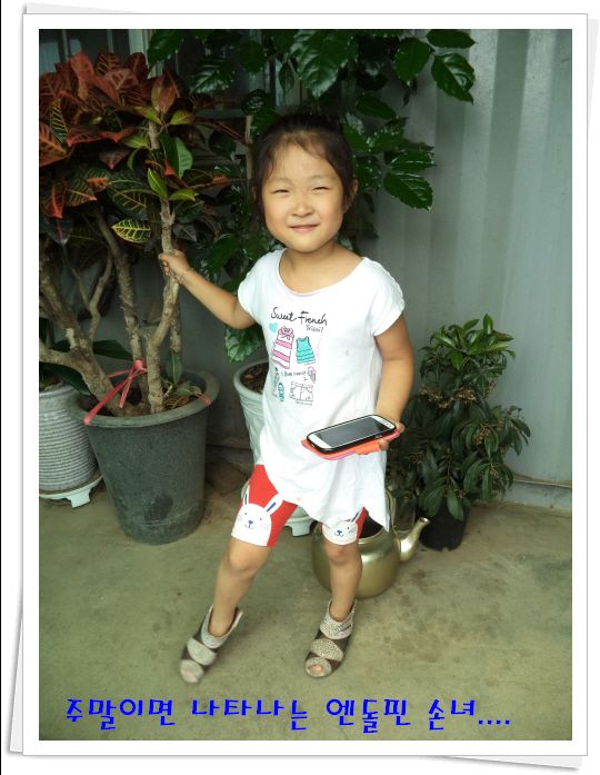 �ٹ̱�_DSC02107.JPG