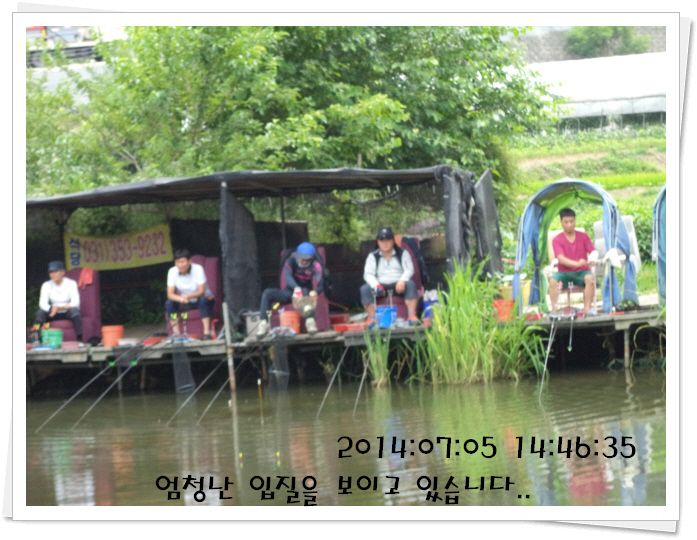 �ٹ̱�_DSC02108.JPG