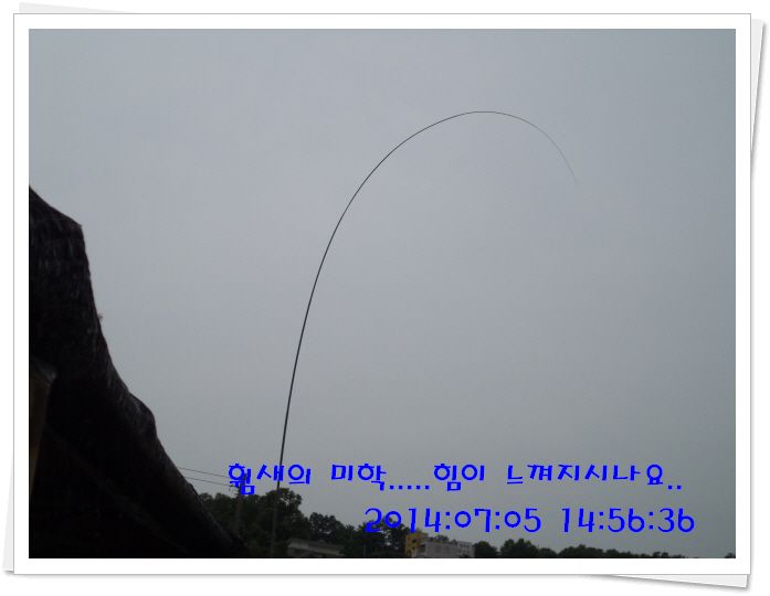 �ٹ̱�_DSC02115.JPG
