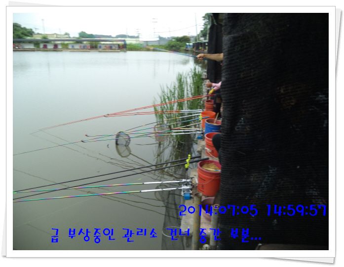 �ٹ̱�_DSC02117.JPG