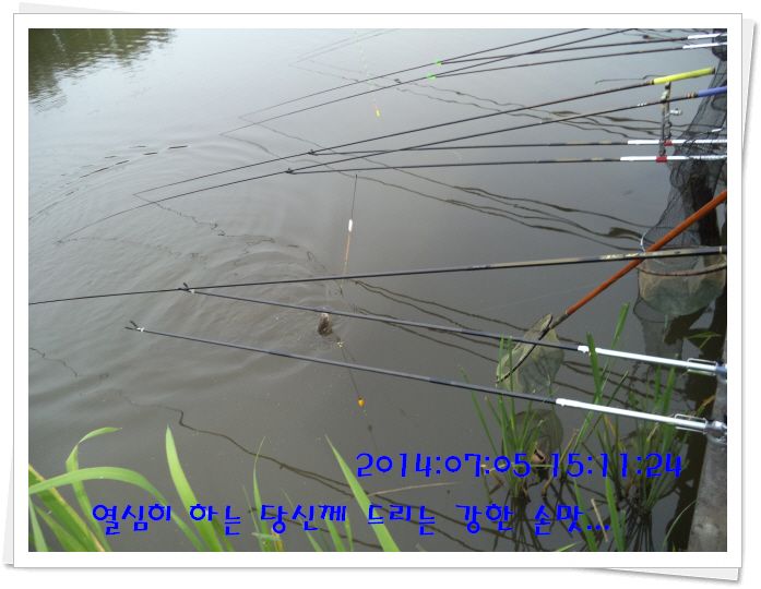 �ٹ̱�_DSC02126.JPG