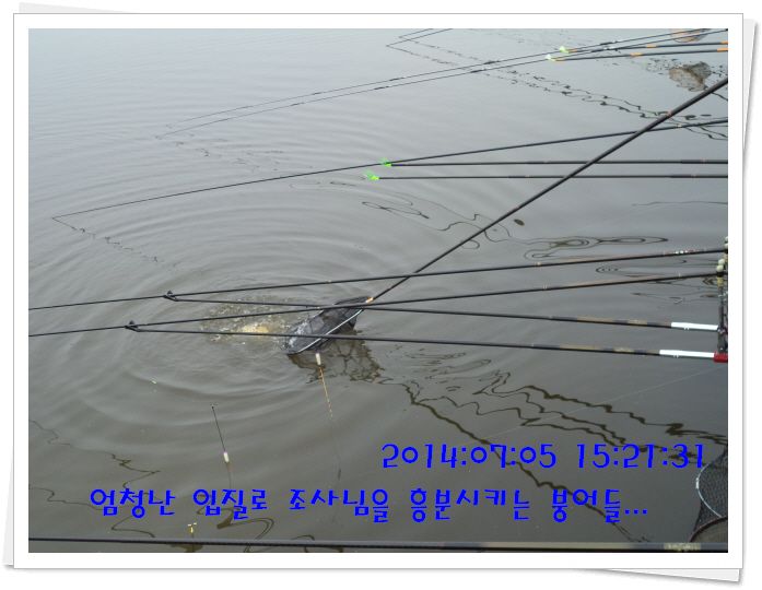 �ٹ̱�_DSC02134.JPG