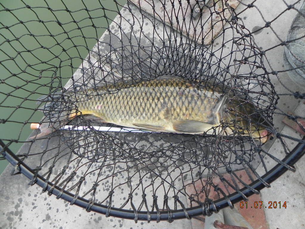 DSCN6606.JPG