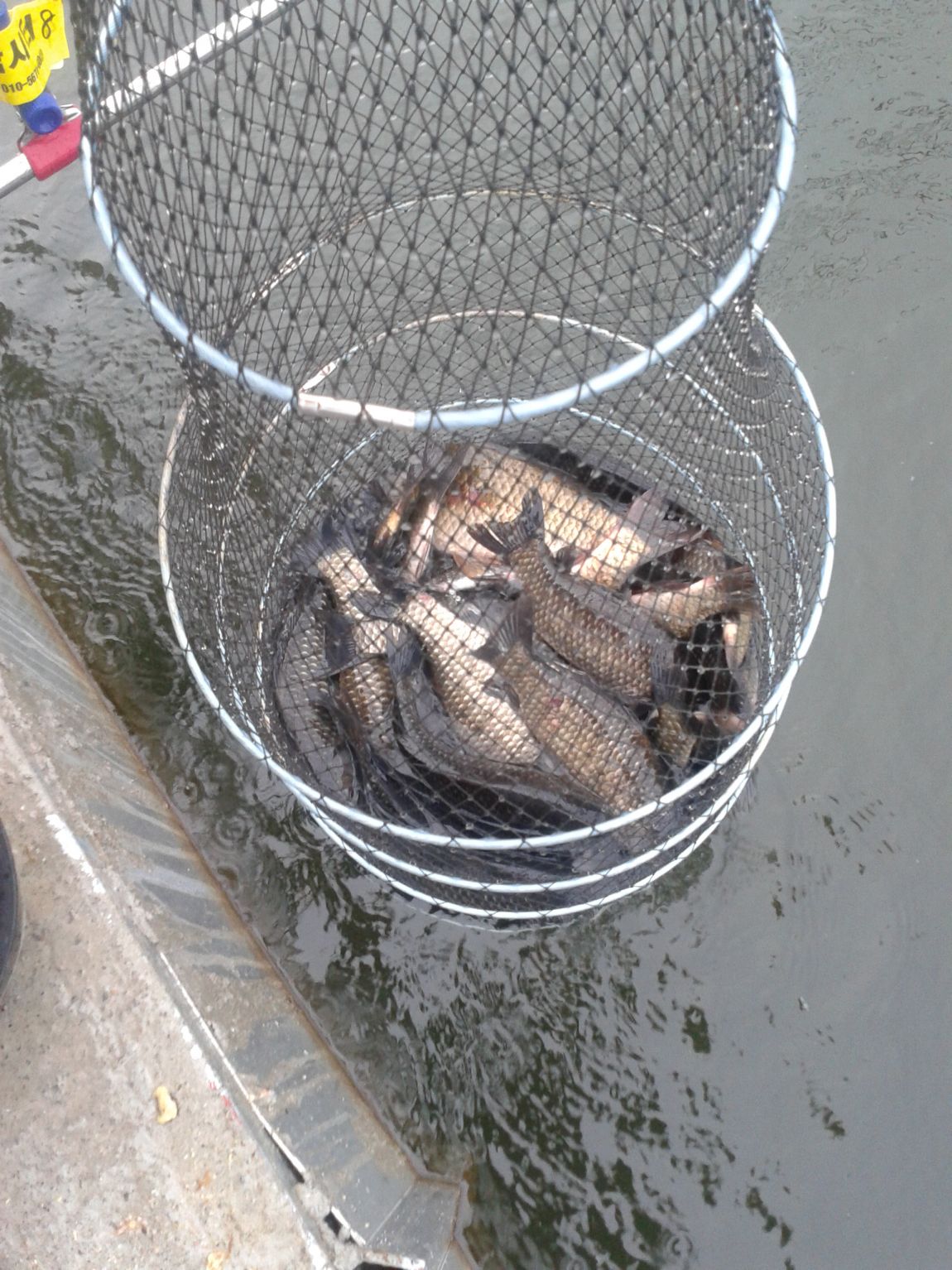 20140709_064937.jpg