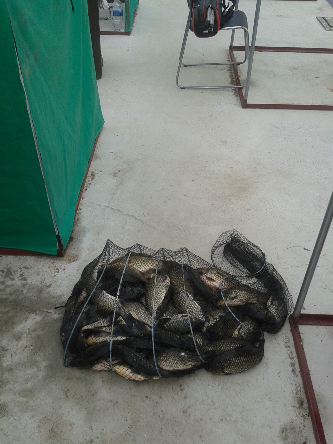20140709_064530.jpg