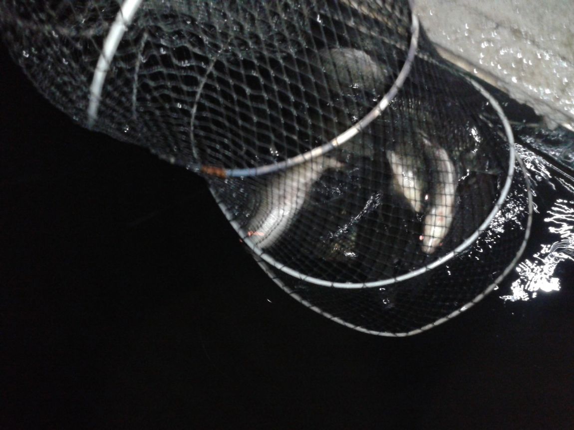 20140709_214322.jpg
