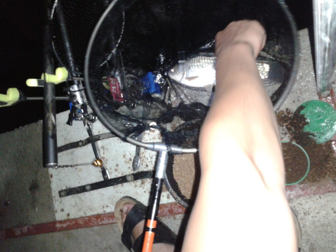 20140709_220442.jpg
