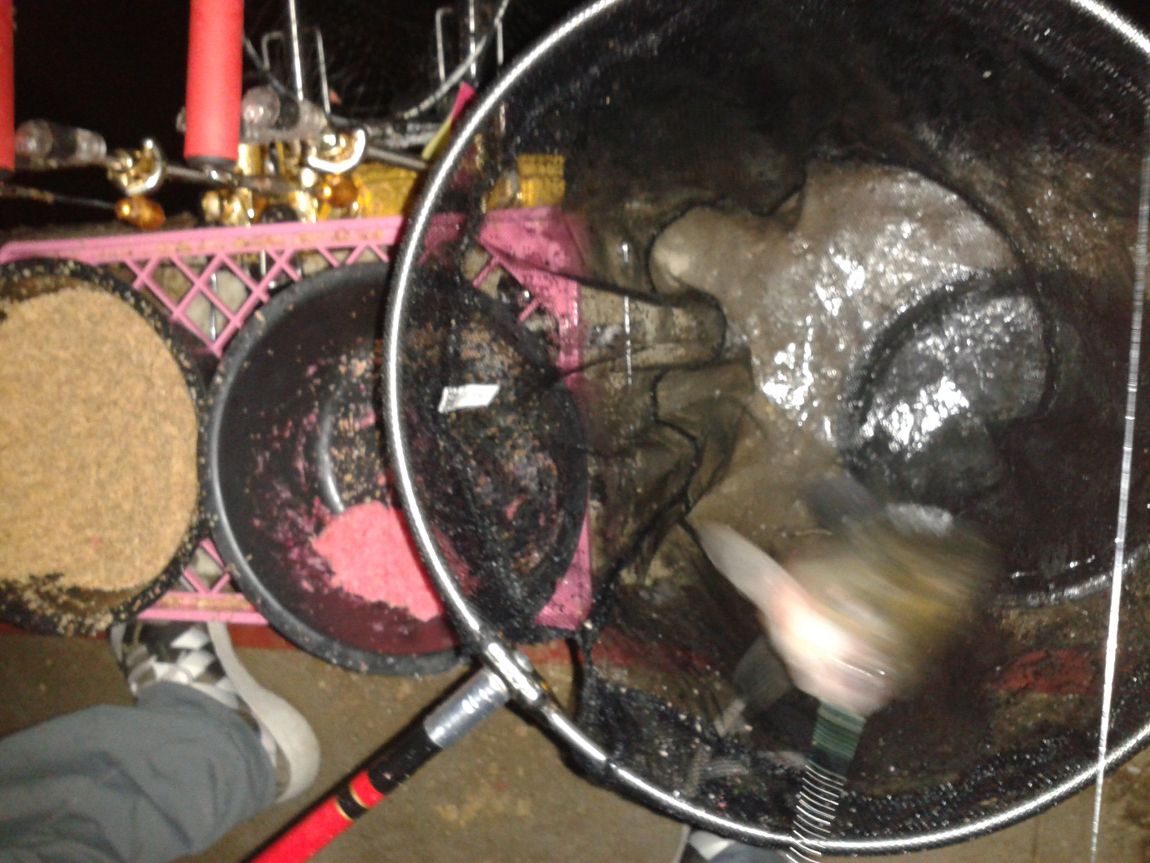 20140709_221242.jpg