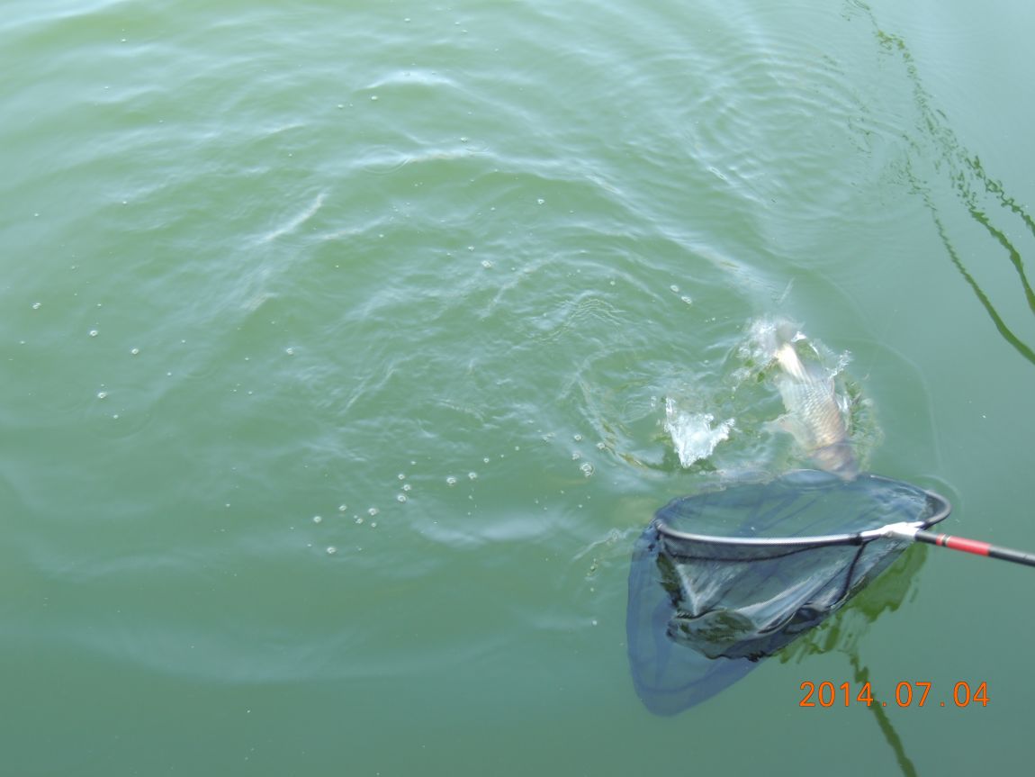 DSCN1968.JPG