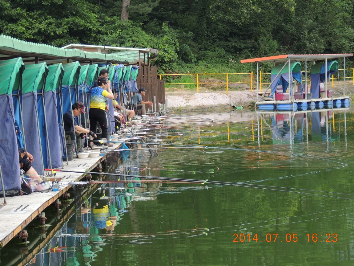 DSCN1993.JPG