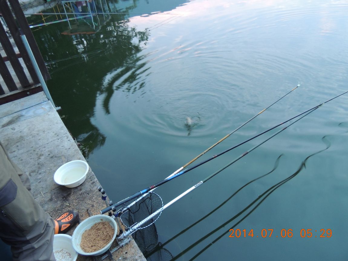 DSCN2001.JPG