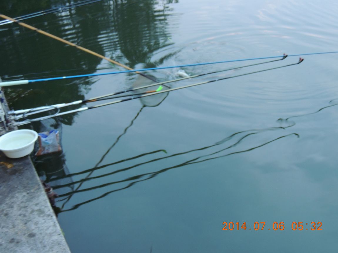 DSCN2002.JPG