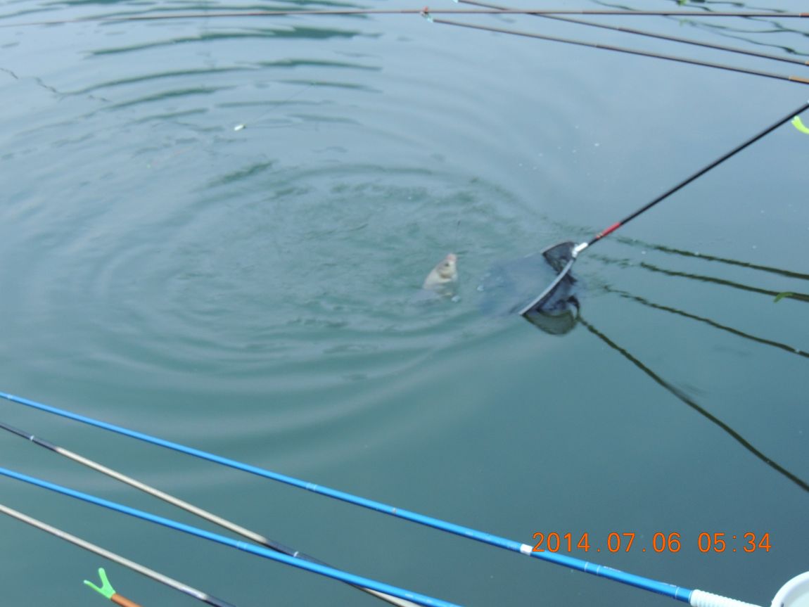 DSCN2003.JPG