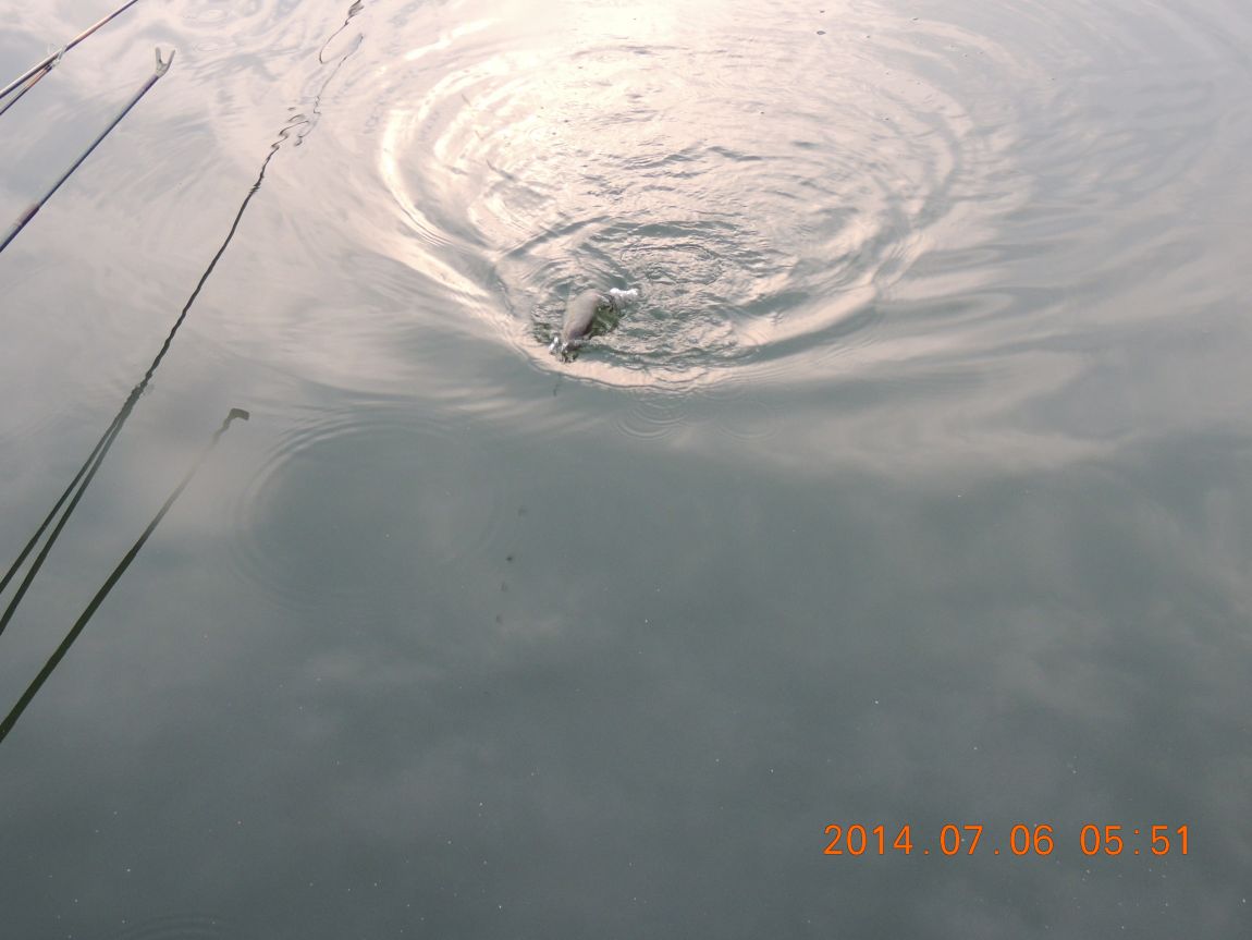 DSCN2007.JPG