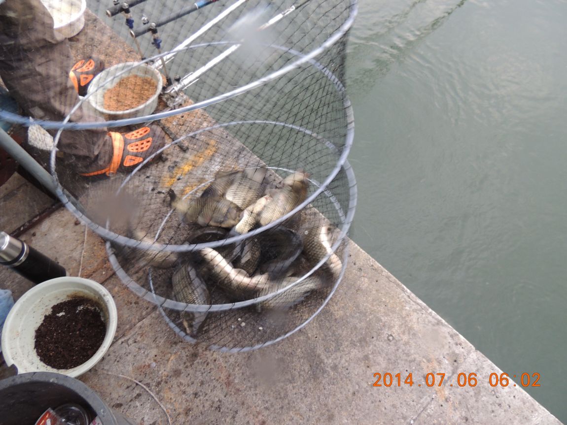 DSCN2010.JPG