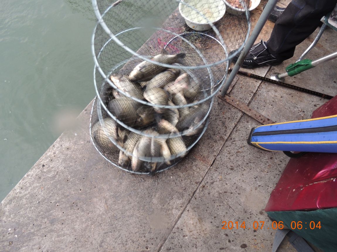 DSCN2011.JPG