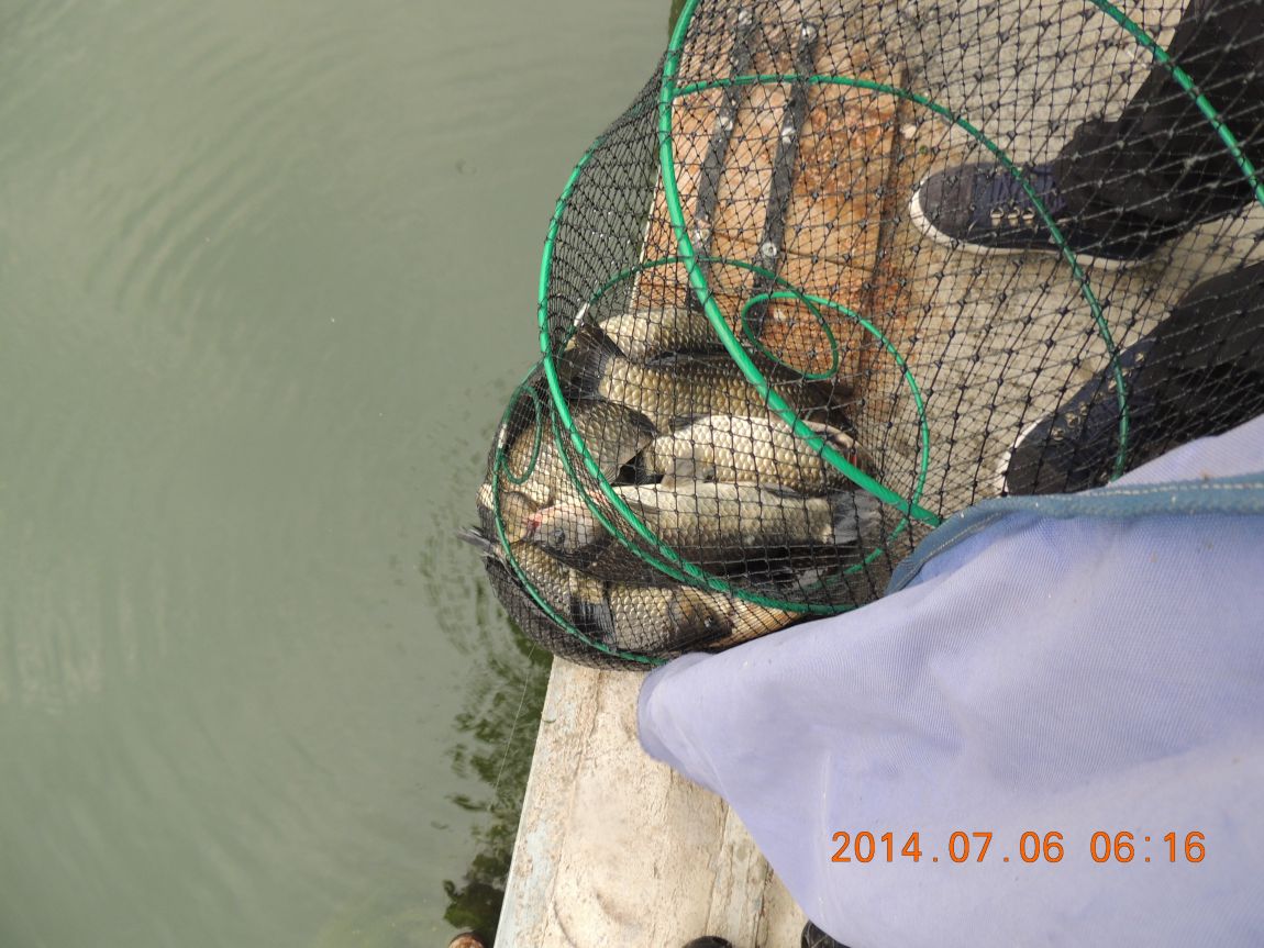 DSCN2015.JPG