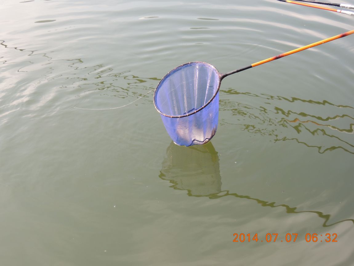 DSCN2024.JPG