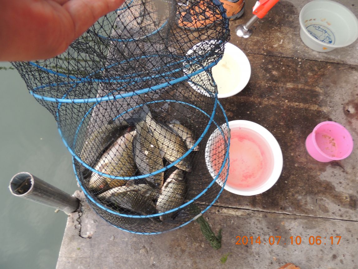 DSCN2029.JPG