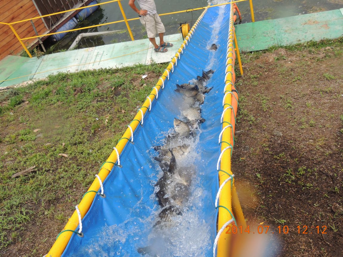 DSCN2042.JPG