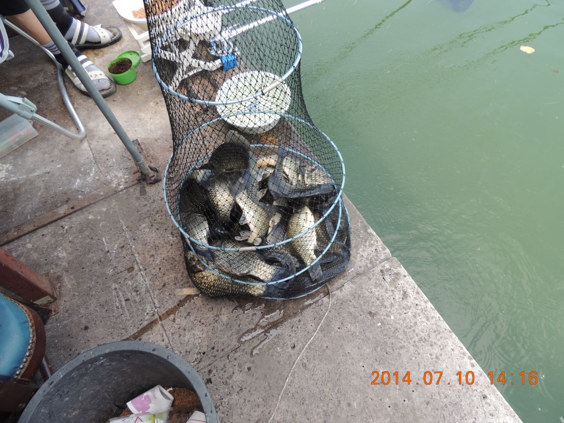 DSCN2043.JPG