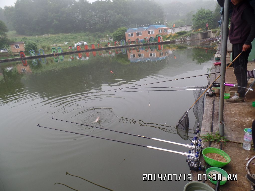 SAM_0918.JPG