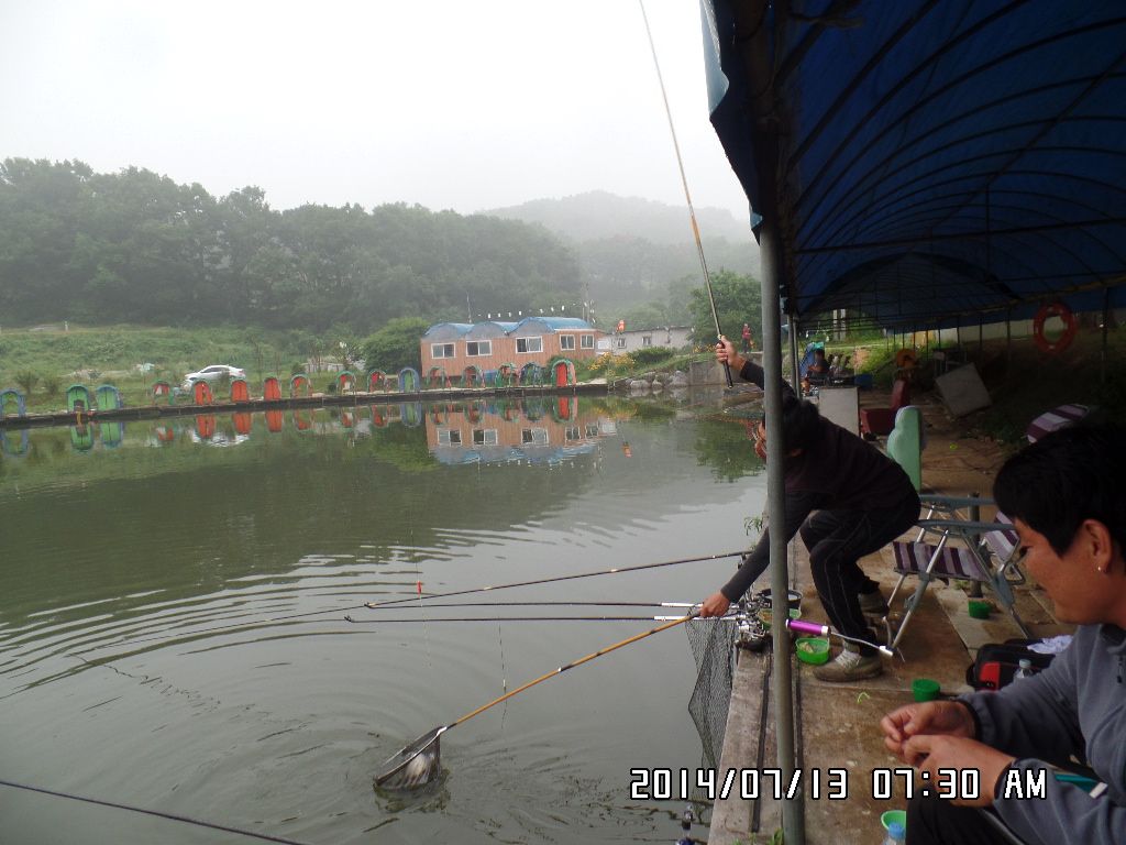 SAM_0919.JPG