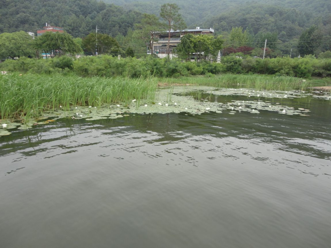 DSC08920.JPG