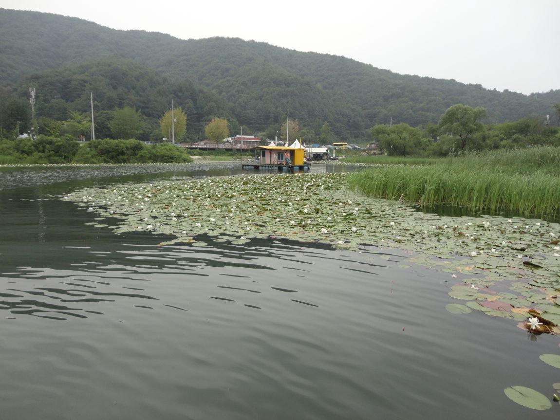 DSC08929.JPG