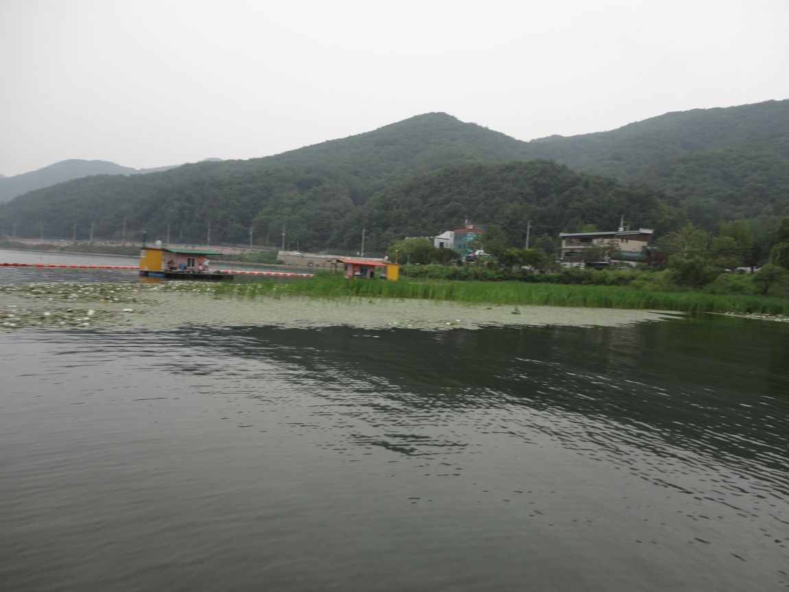 DSC08930.JPG