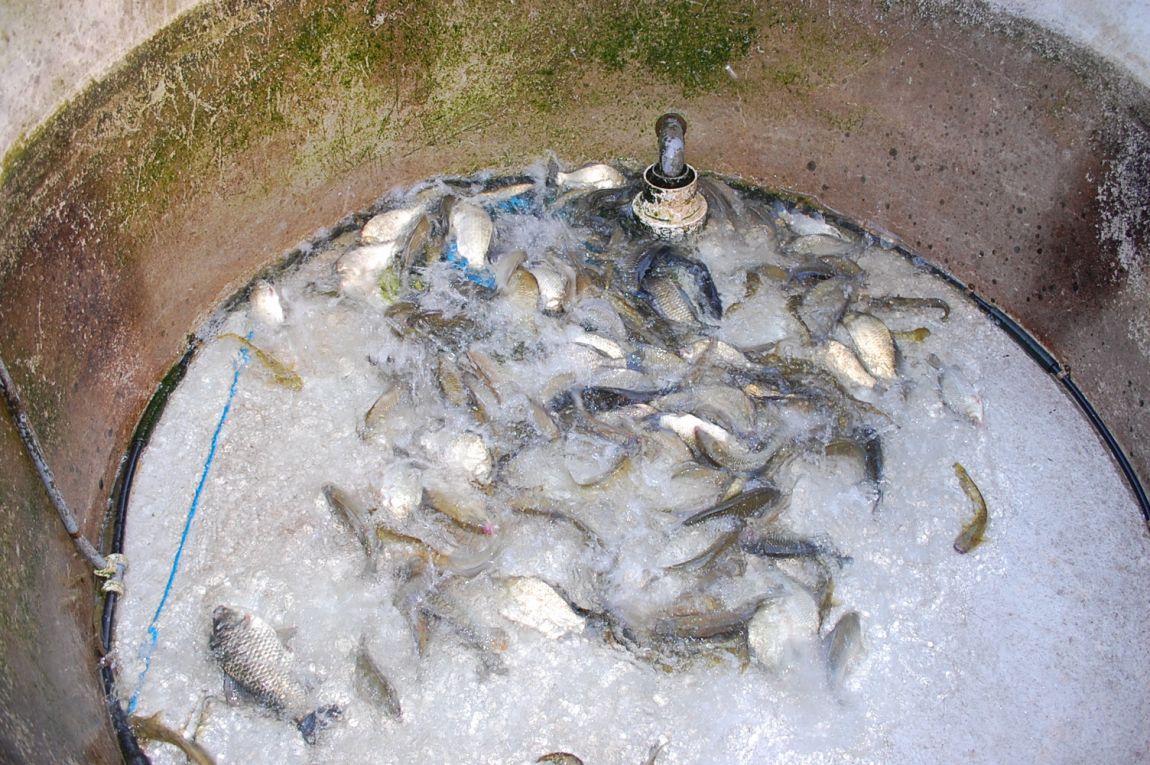 �ٹ̱�_DSC_0008.JPG