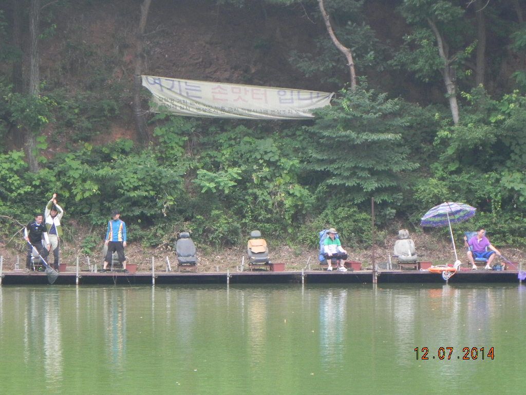 DSCN6990.JPG
