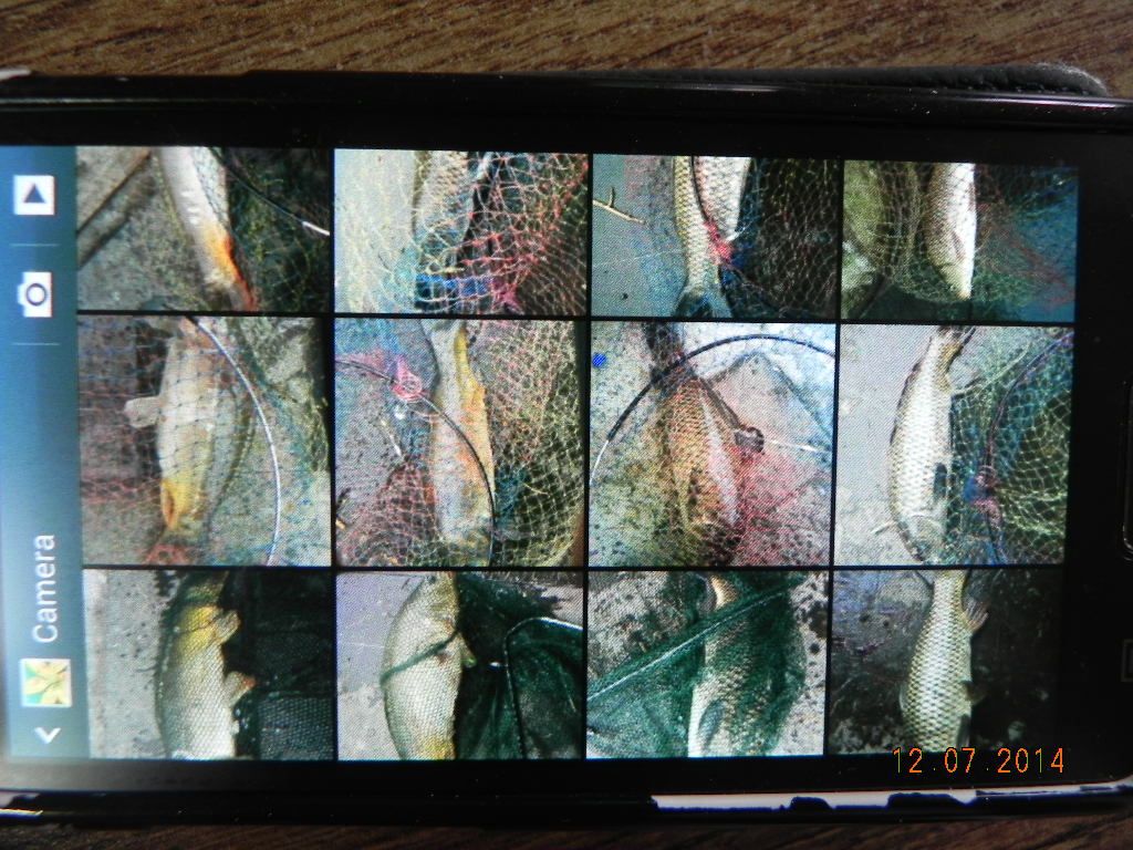 DSCN6922.JPG